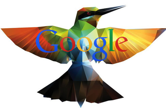 卢松松分享：给谷歌的“蜂鸟算法”泼瓢冷水