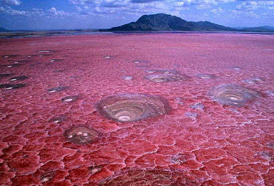 传说中的“冥河”纳特龙湖 绝美红色似滴血